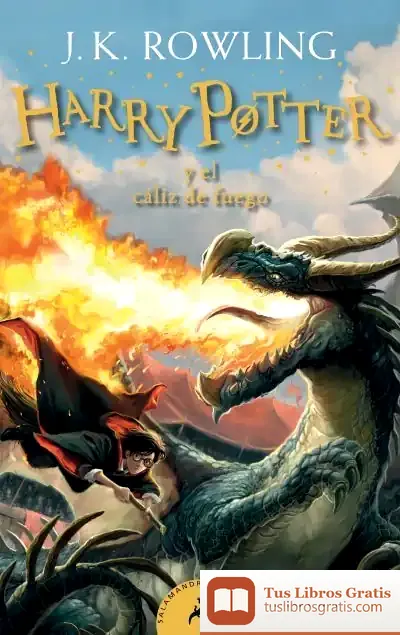 Descargar Harry Potter Y El Cáliz De Fuego (Harry Potter 4)