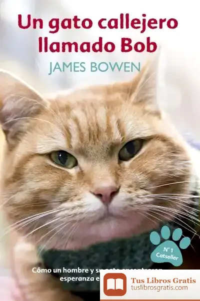 Descargar Un Gato Callejero Llamado Bob