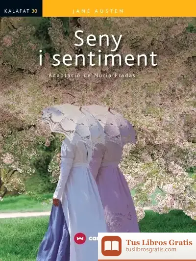 Descargar Seny I Sentiment