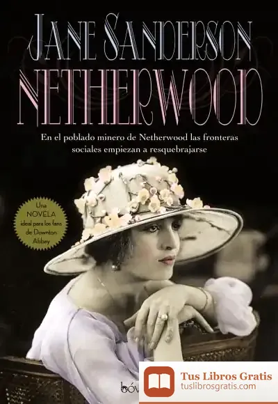 Descargar Netherwood de Jane Sanderson