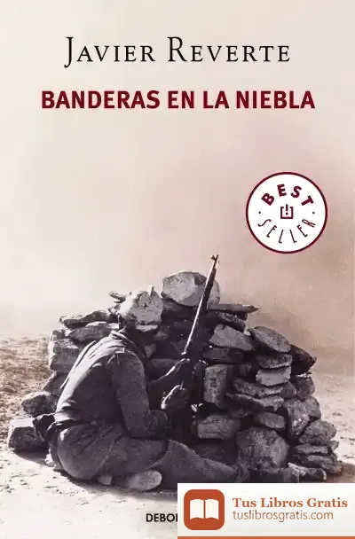 Descargar Banderas En La Niebla