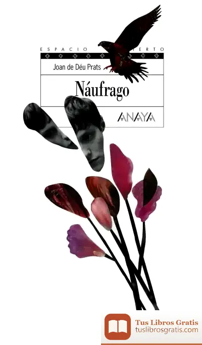 Descargar Náufrago