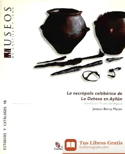 Descargar Necropolis Celtiberica La Dehesa En Ayllon