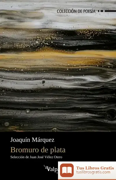 Descargar Bromuro De Plata de Joaquín Márquez Ruiz