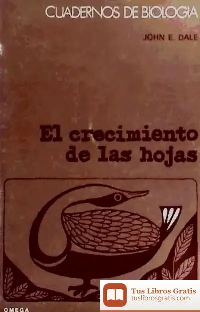 Descargar 68. El Crecimiento De Las Hojas