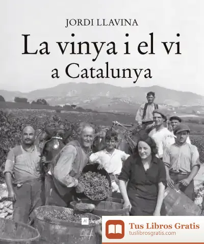 Descargar La Vinya I El Vi A Catalunya de Jordi Llavina