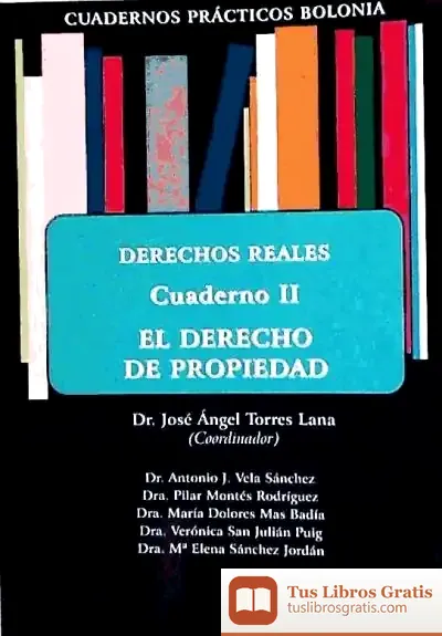 Descargar Derechos Reales. El Derecho De Propiedad. Cuaderno Ii de Xavier Queipo