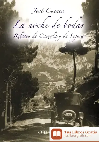 Descargar La Noche De Bodas
