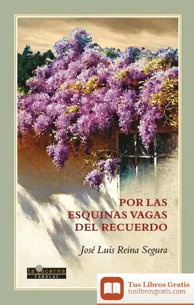 Descargar Por Las Esquinas Vagas Del Recuerdo de José Luis Reina Segura