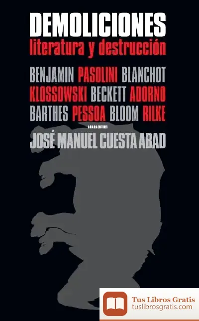 Descargar Demoliciones