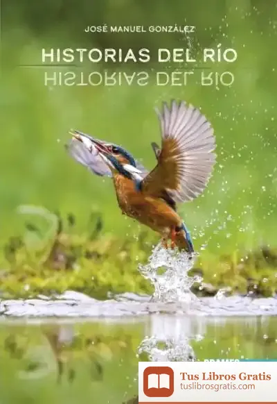 Descargar Historias Del Río