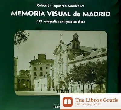 Descargar Memoria Visual De Madrid de Francisco Jarauta