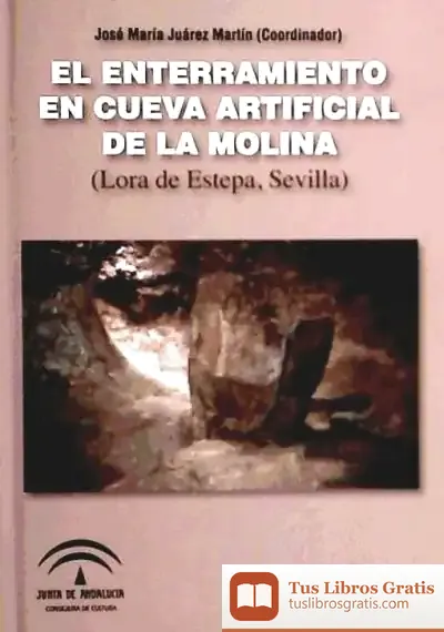 Descargar El Enterramiento En Cueva Artificial De La Molina : (Lora De Estepa, Sevilla)