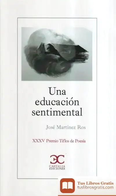 Descargar Una Educación Sentimental
