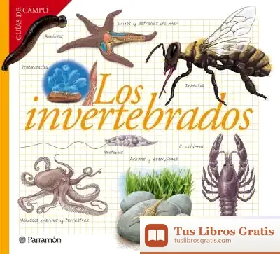 Descargar Los Invertebrados de Josep Maria Barres Manuel