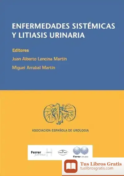 Descargar Enfermedades Sistemáticas Y Litiasis Urinaria de Beatriz Costillas I Pérez