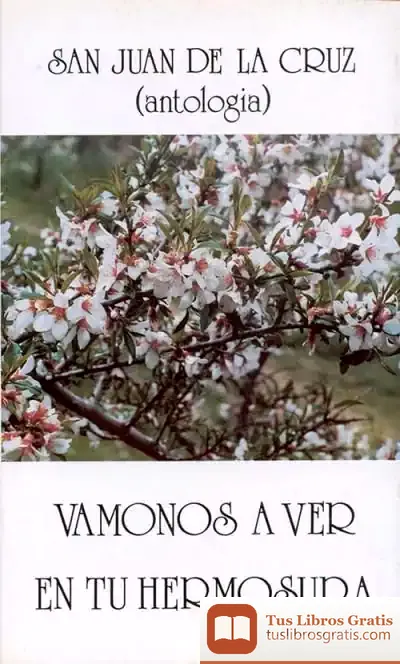 Descargar Vámonos A Ver En Tu Hermosura