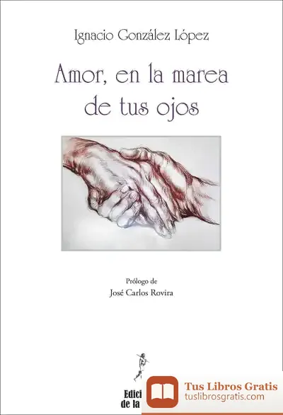 Descargar Amor, En La Marea De Tus Ojos de Juan Ignacio González