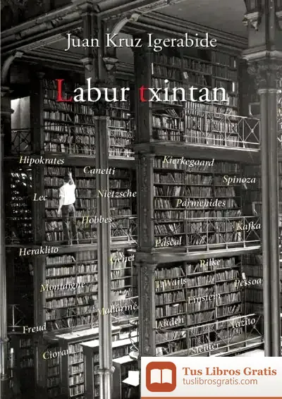 Descargar Labur Txintan