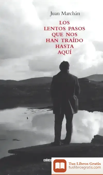 Descargar Los Lentos Pasos Que Nos Han Traído Hasta Aquí de Juan Marchán Burriel