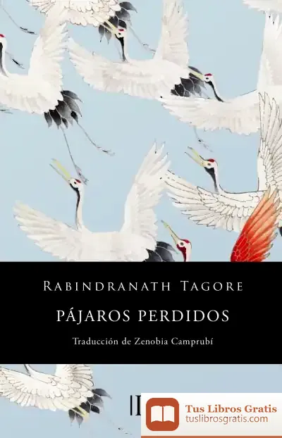 Descargar Pájaros Perdidos (Sentimientos)