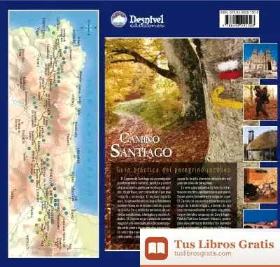 Descargar Camino De Santiago : Guía Práctica Del Peregrino Jacobeo de Domingo Gómez Martínez