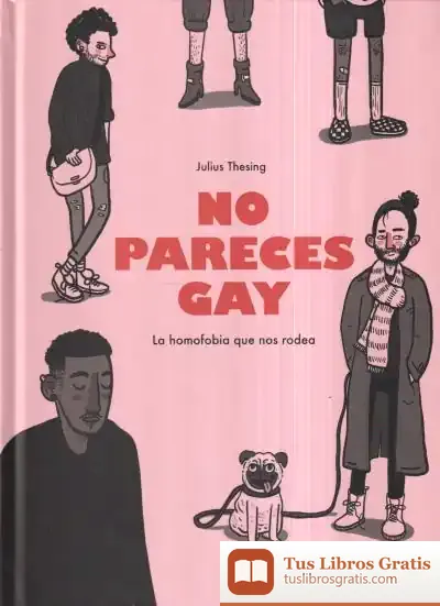 Descargar No Pareces Gay