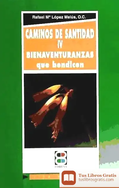 Descargar Caminos De Santidad Iv de Florencio Galindo