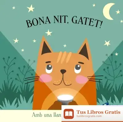 Descargar Bona Nit, Gatet! de Katie Button