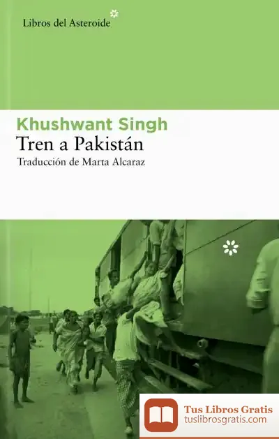 Descargar Tren A Pakistán de Pilar Molina Llorente