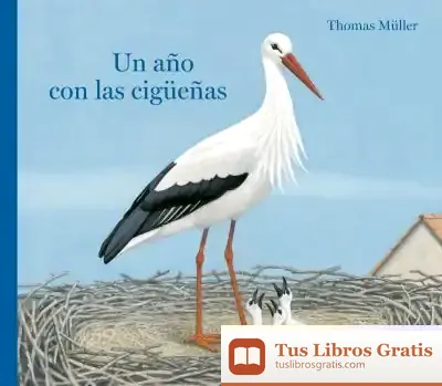 Descargar Un Año Con Las Cigüeñas