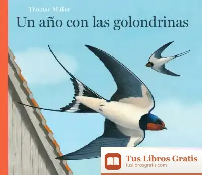 Descargar Un Año Con Las Golondrinas