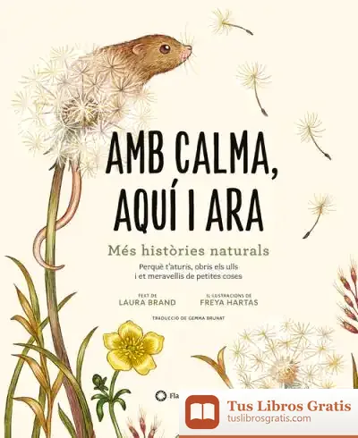 Descargar Amb Calma, Aquí I Ara