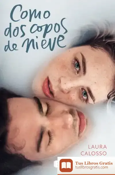 Descargar Como Dos Copos De Nieve de Laura Calosso
