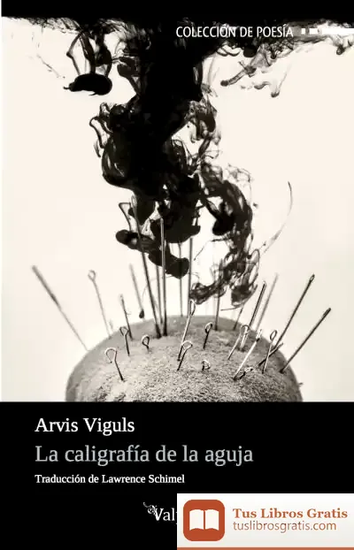 Descargar La Caligrafía De La Aguja de Lawrence Schimel