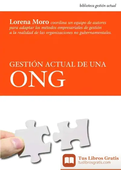 Descargar Gestión Actual De Una Ong de Lidia Arroyo Navajas