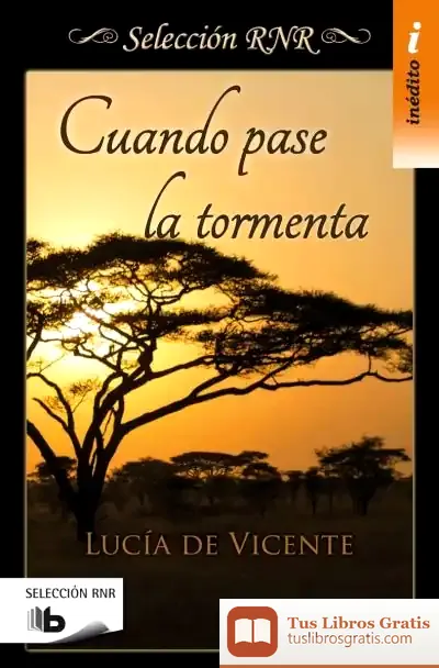 Descargar Cuando Pase La Tormenta de Lucía de Vicente Barrios