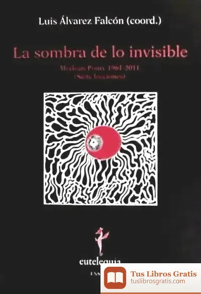 Descargar La Sombra De Lo Invisible de Rebecca Miller
