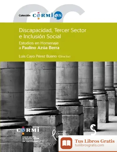 Descargar Discapacidad, Tercer Sector E Inclusión Social. Estudios En Homenaje A Paulino Azúa Berra de María Teresa Román López