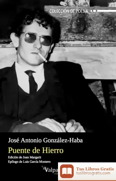 Descargar Puente De Hierro : Antología Poética