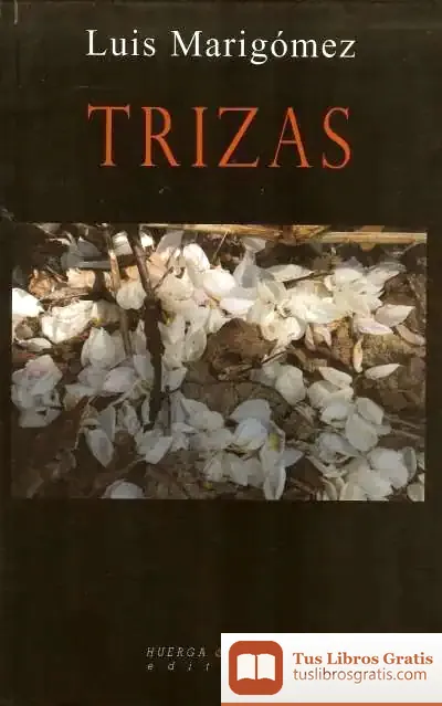 Descargar Trizas