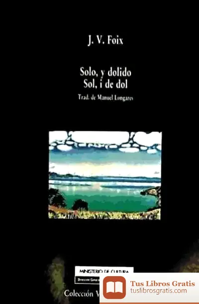Descargar Solo, Y Dolido de Orfelio G. León García