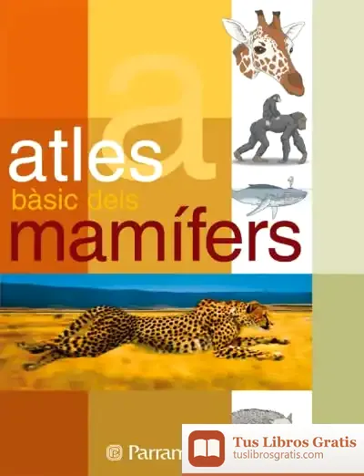 Descargar Atles Basic Dels Mamifers de Alejo Martínez Martín