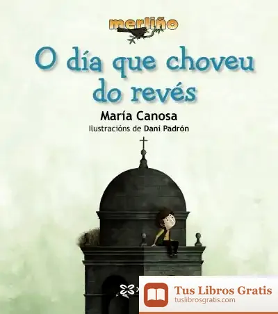 Descargar O Día Que Choveu Do Revés de María Canosa