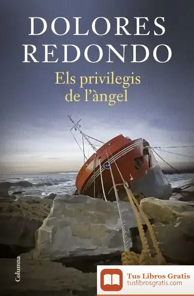 Descargar Els Privilegis De L'Àngel