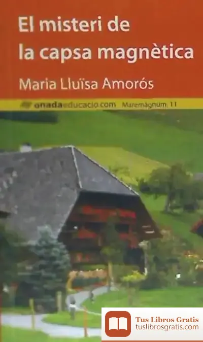 Descargar El Misteri De La Capsa Magnètica de Maria Lluïsa Amorós