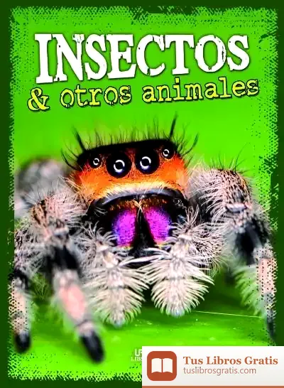 Descargar Insectos Y Otros Animales