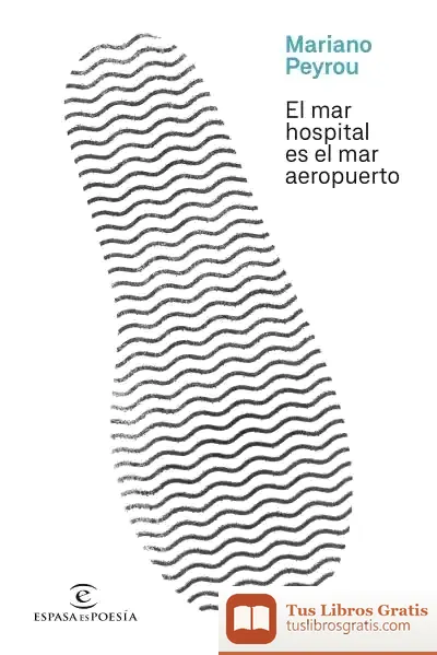 Descargar El Mar Hospital Es El Mar Aeropuerto de Mariano Peyrou