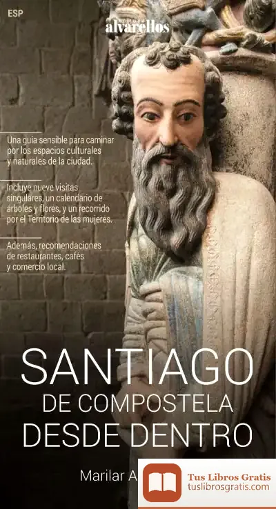 Descargar Santiago De Compostela Desde Dentro Alvarellos