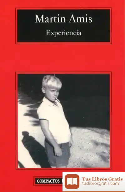 Descargar Experiencia de Martin Amis